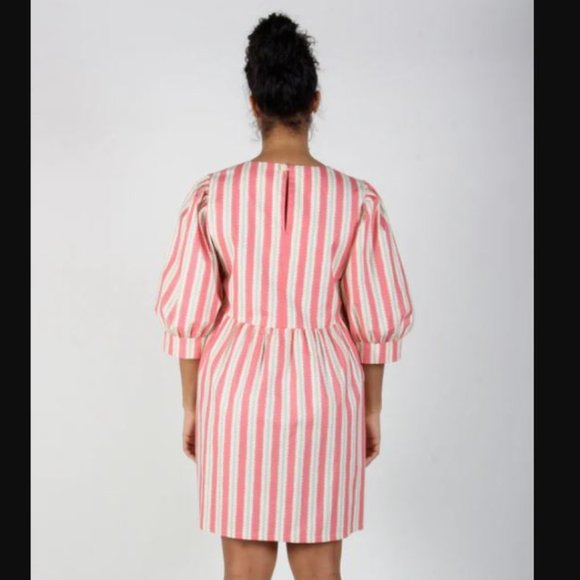 Birds of North America Pink Stripe Devil Downhead Dress - Picture 4 of 5